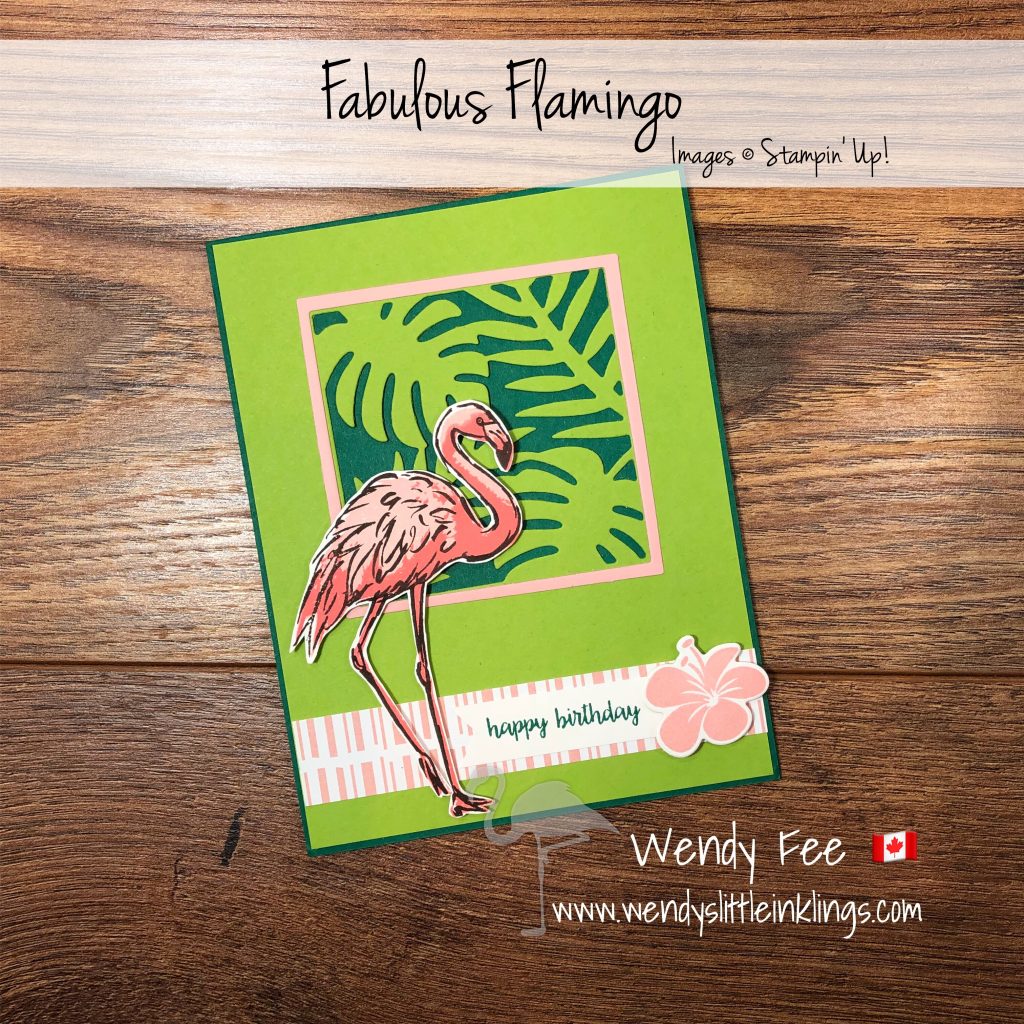 Fabulous Flamingo card on a Granny Apple Green background. SO vibrant ...